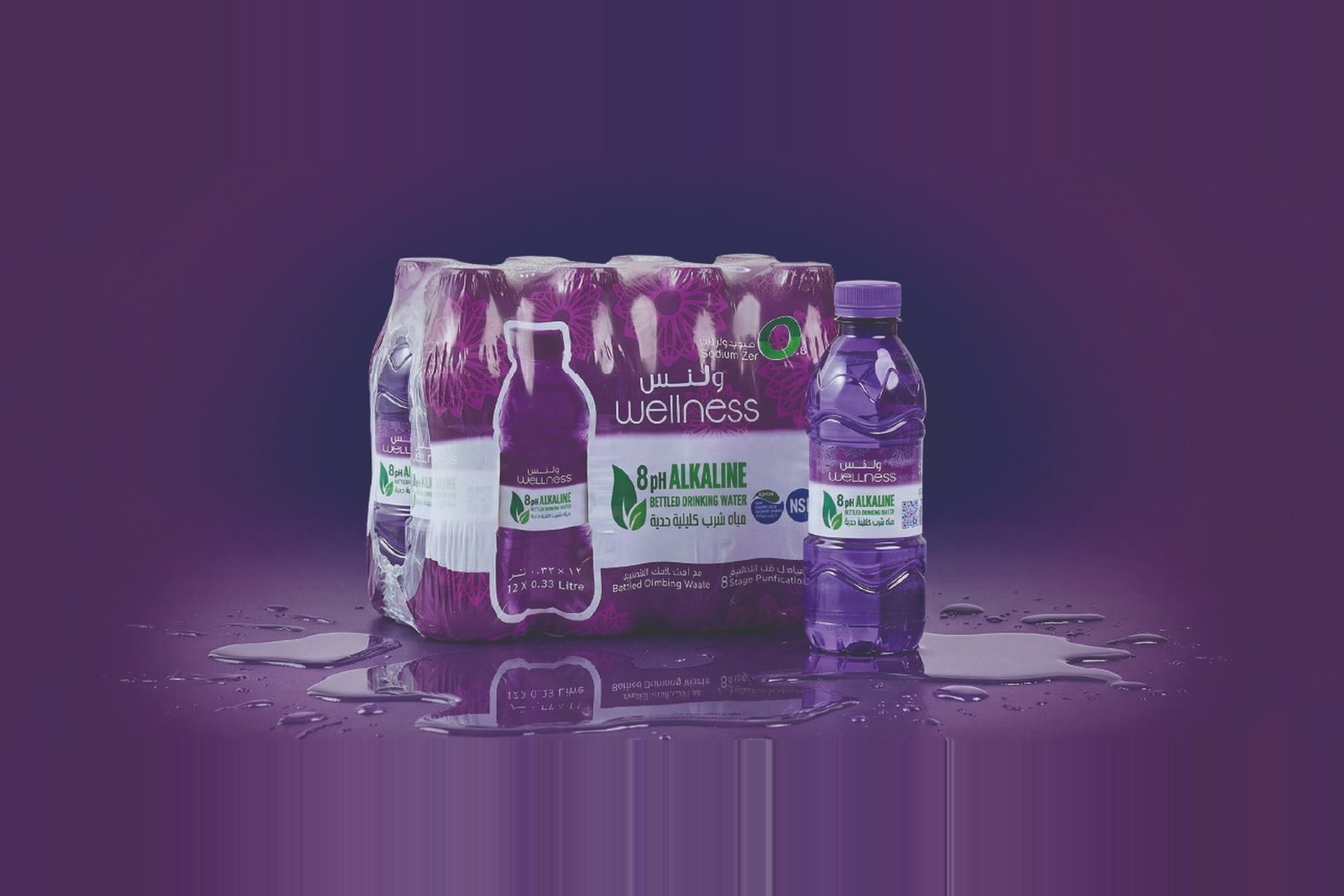 Wellness Alkaline Water (12X330)
